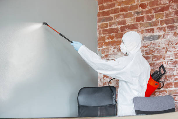 Mold Remediation for Rental Properties in Matawan, NJ